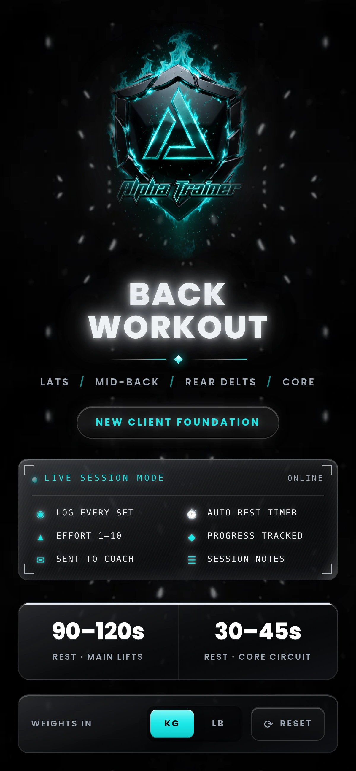 Back Workout interactive workout preview